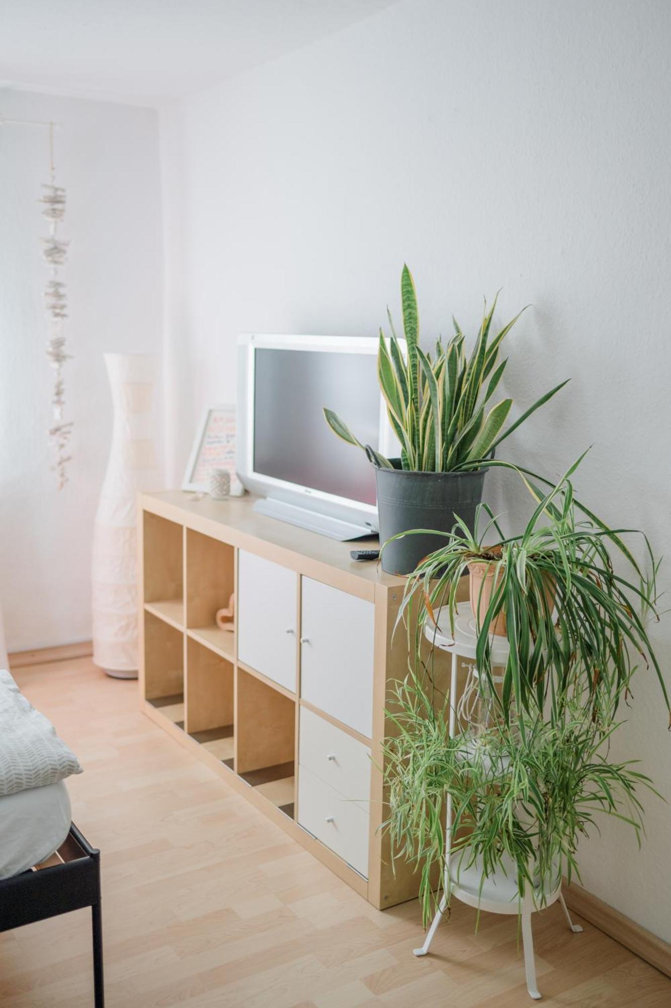 Buchlindenweg - Zimmer & Ferienwohnung Breitscheid  Dış mekan fotoğraf